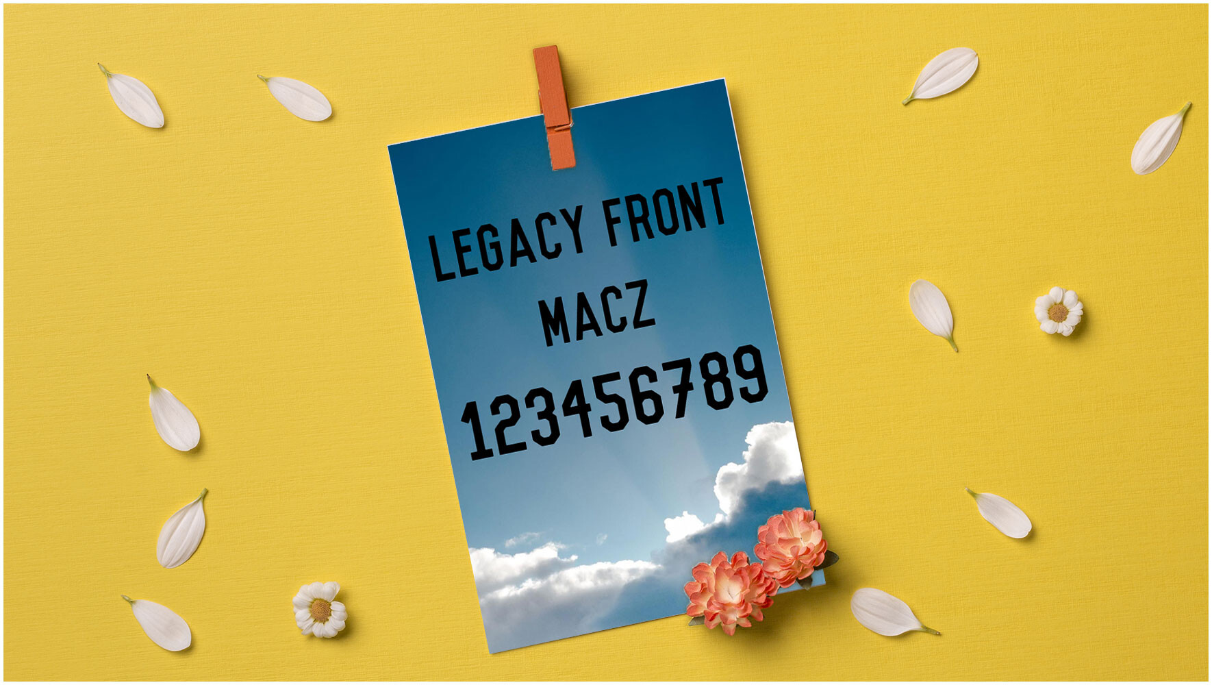 Pro-Legacy电子科技显示字体