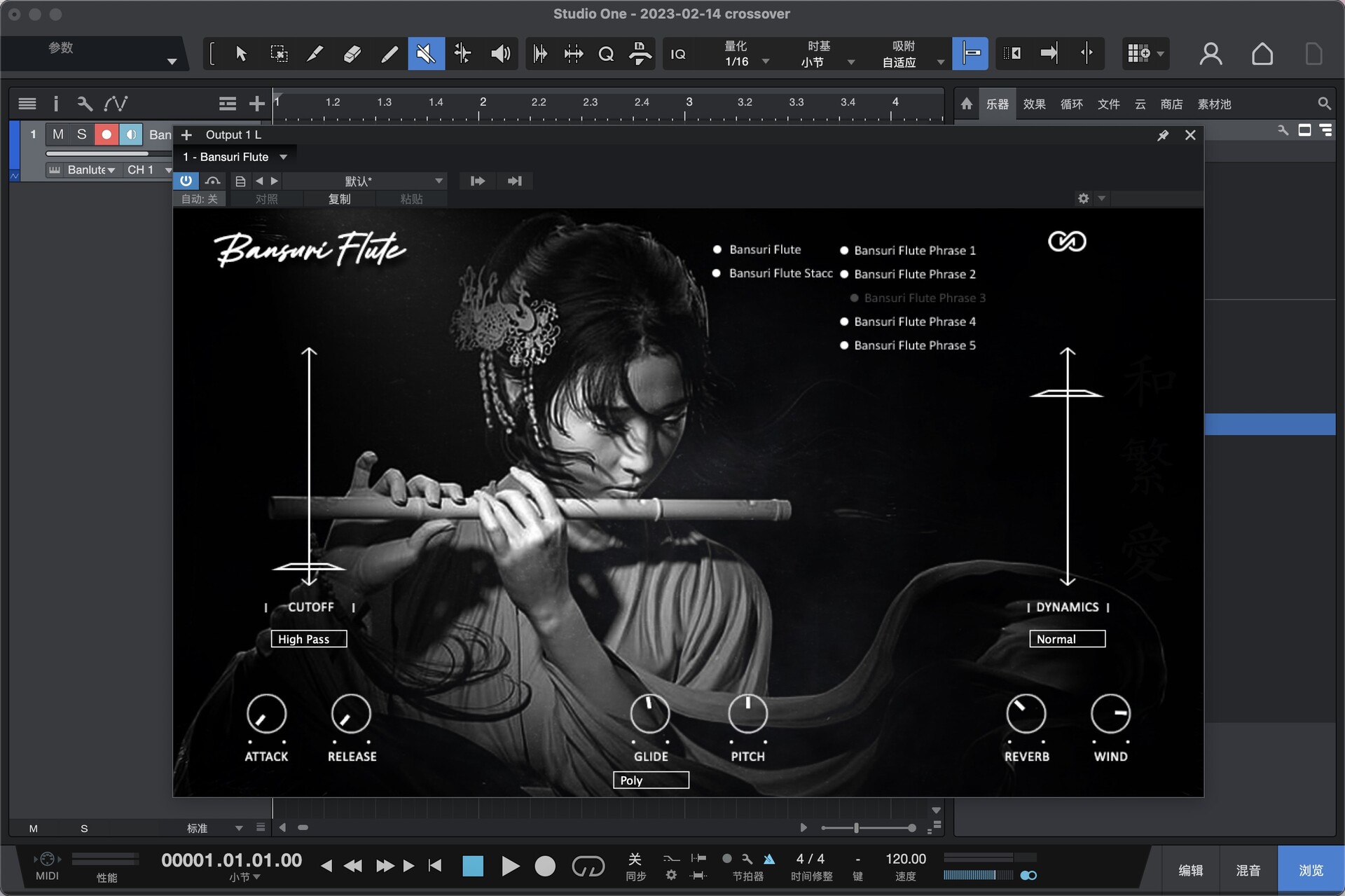 Infinite Audio Bansuri Flute for mac(班苏里长笛虚拟乐器)