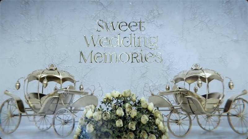 甜蜜的婚礼回忆照片展示ae模板