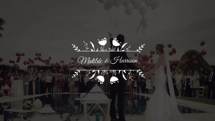优雅的婚礼标题fcpx视频模板