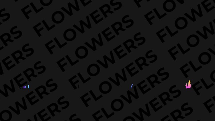 2D 动画植物和花卉动画fcpx视频模板