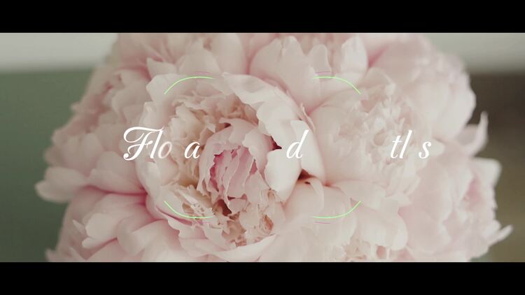 花卉婚礼标题fcpx视频模板