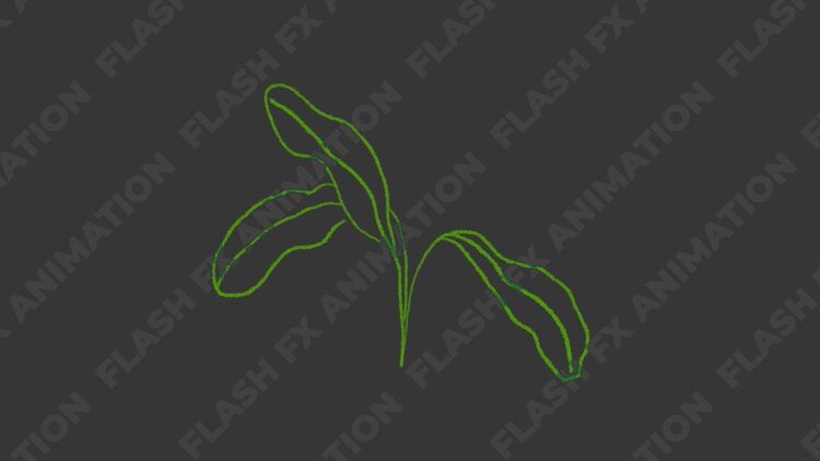 花卉植物动画幻灯片fcpx视频模板
