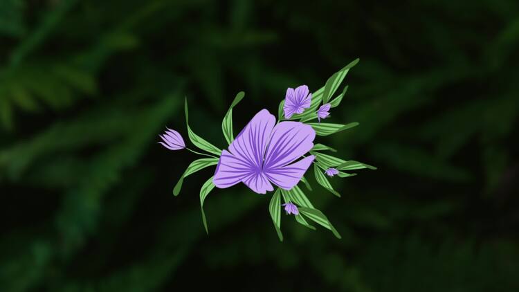 花卉浪漫动画元素fcpx视频模板