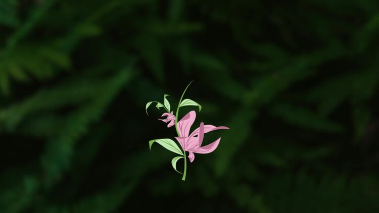 花卉浪漫动画元素PR模板