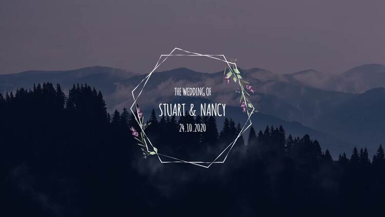 婚姻动画效果fcpx视频模板