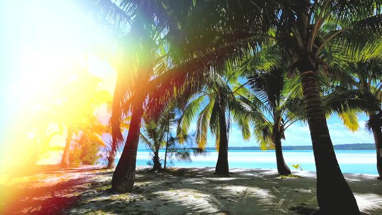 自定义漏光fcpx视频模板