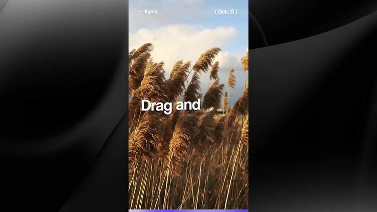 垂直镜头光晕过渡PR模板