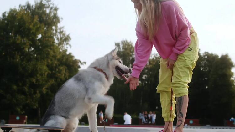 噪声文本过渡PR模板
