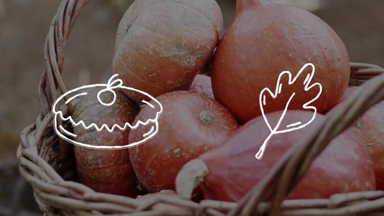 感恩节涂鸦包PR模板