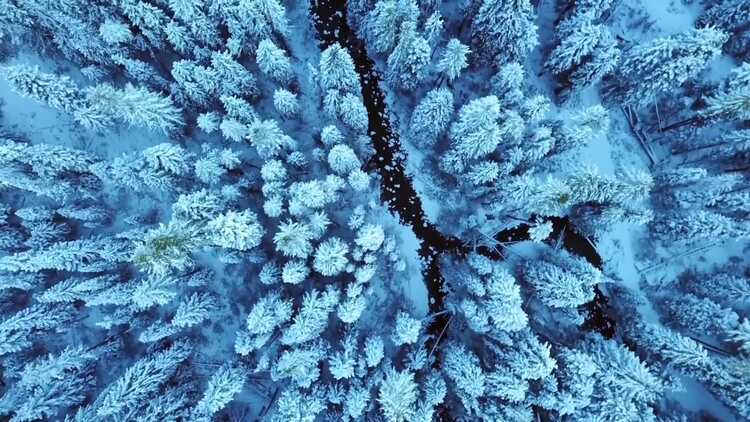 动态转场特效动画fcpx视频模板