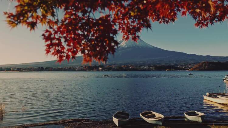 50 种光线过渡PR模板