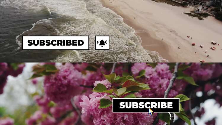 社交媒体按钮下方三分之一PR模板