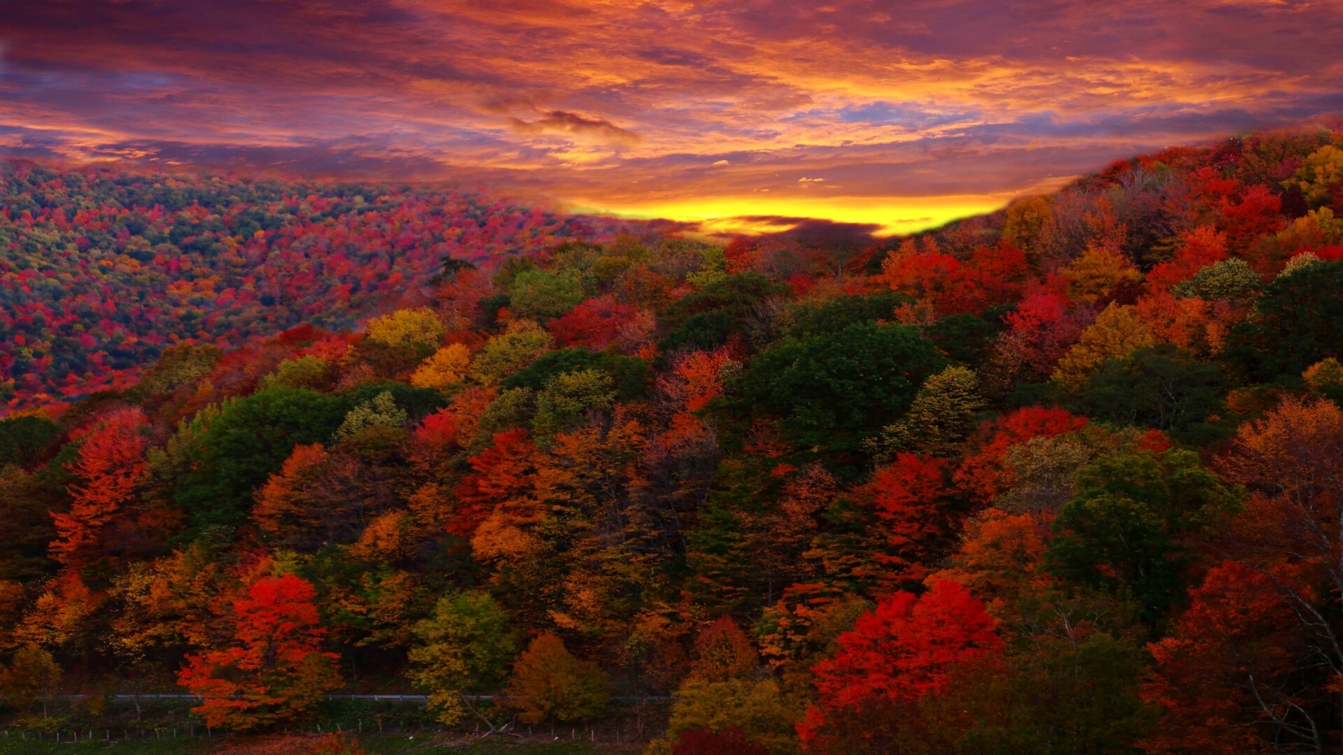 جميلة مشهد الخريف HD خلفية ديناميكية